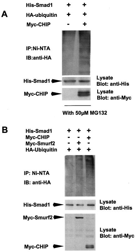 FIG. 5.