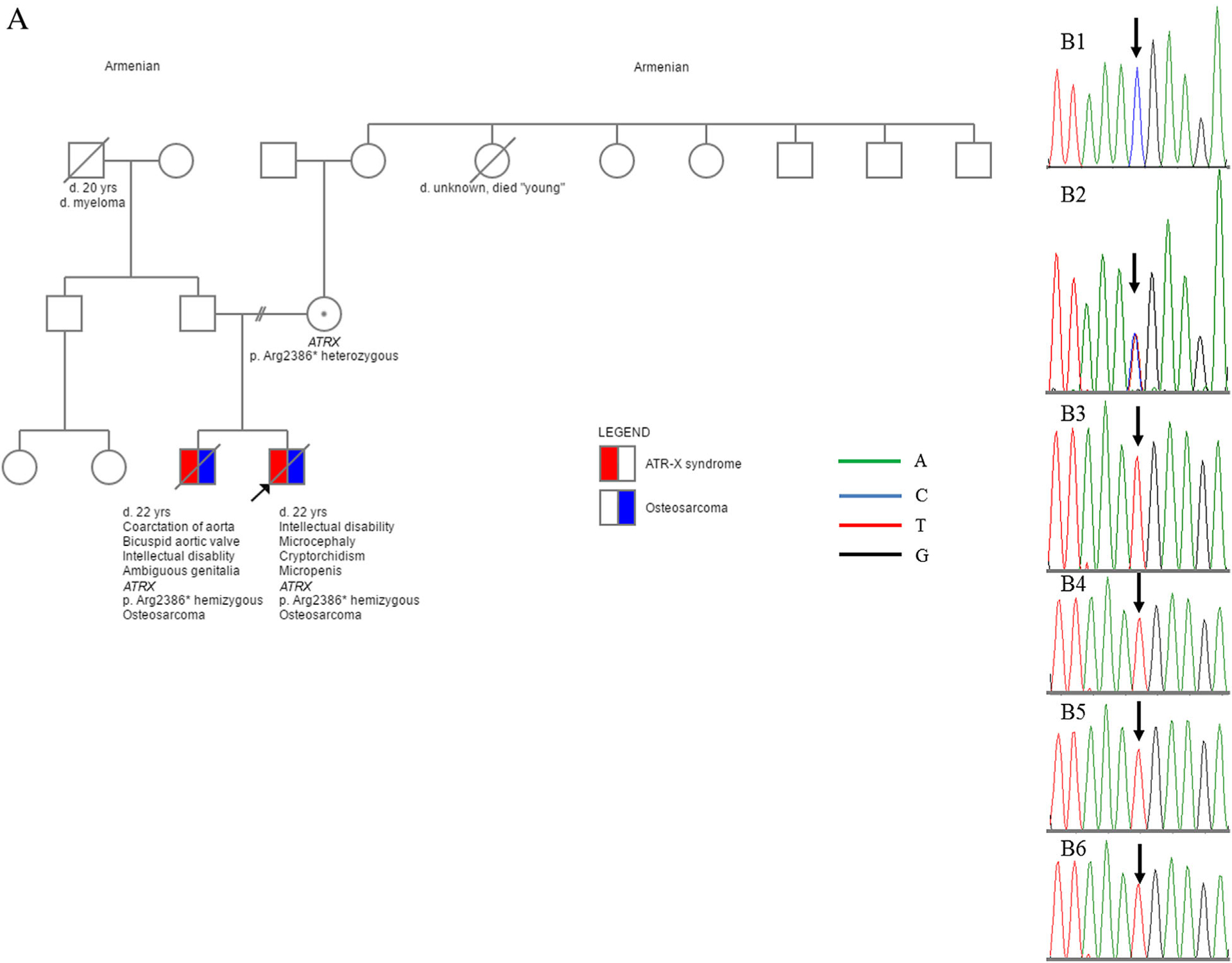 FIGURE 1