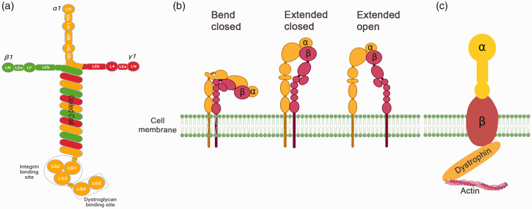 Figure 2.