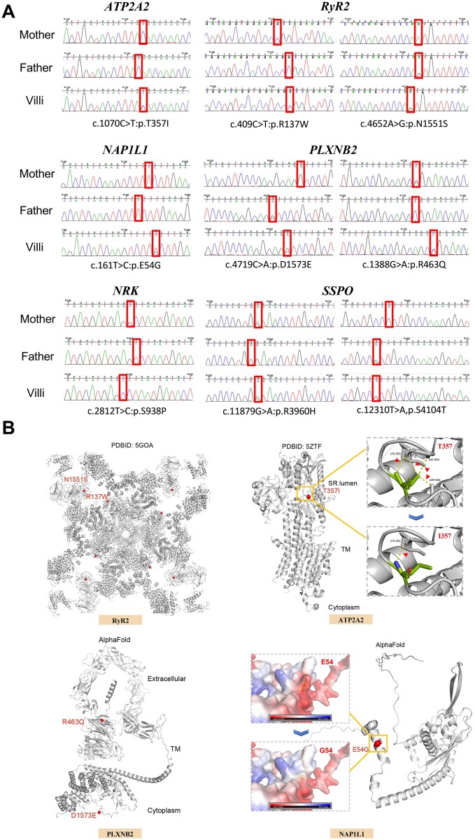 Figure 2.