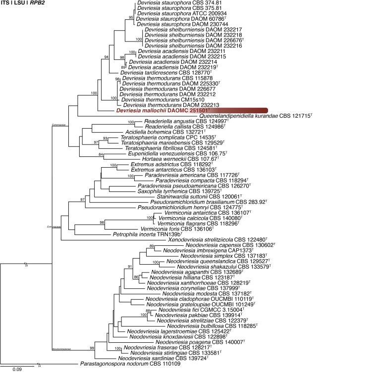 Fig. 10