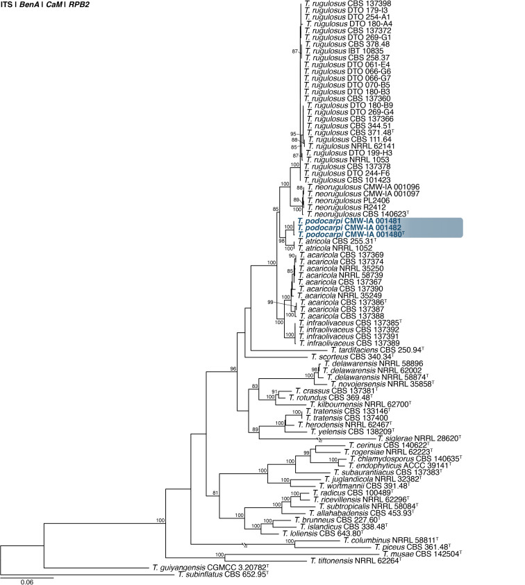 Fig. 43