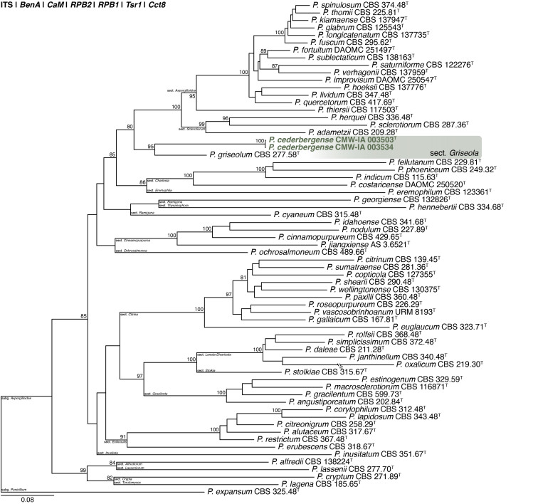 Fig. 28