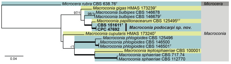 Fig. 23