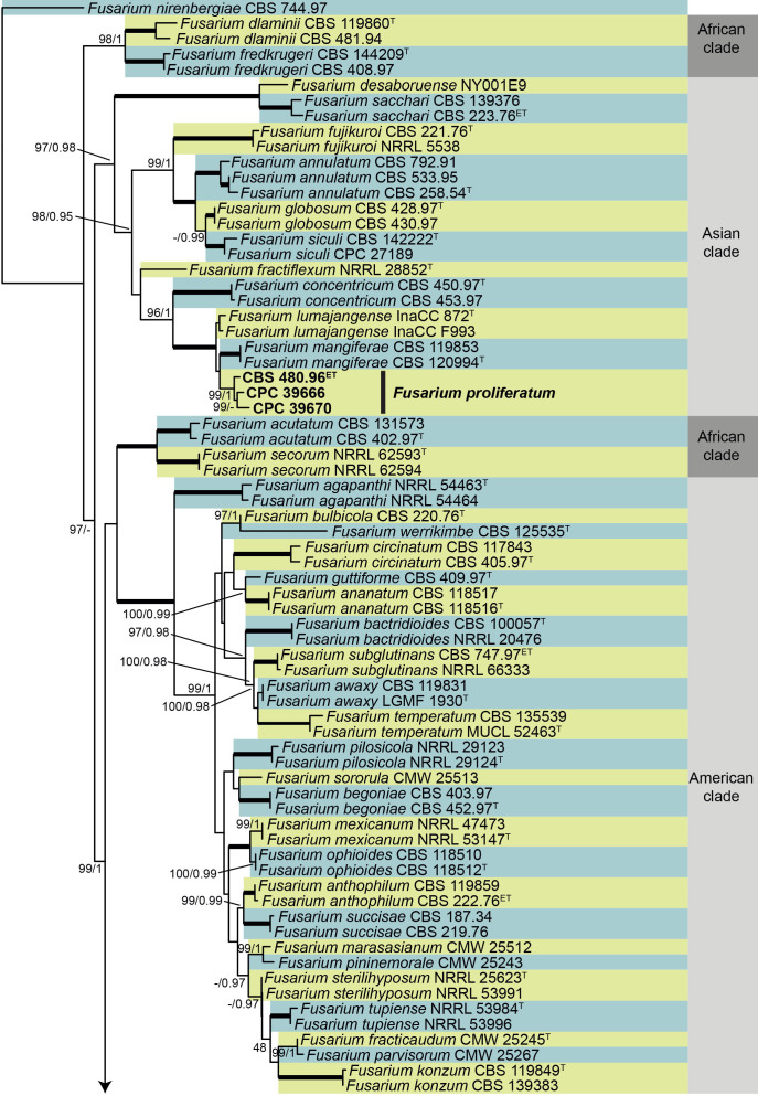 Fig. 16