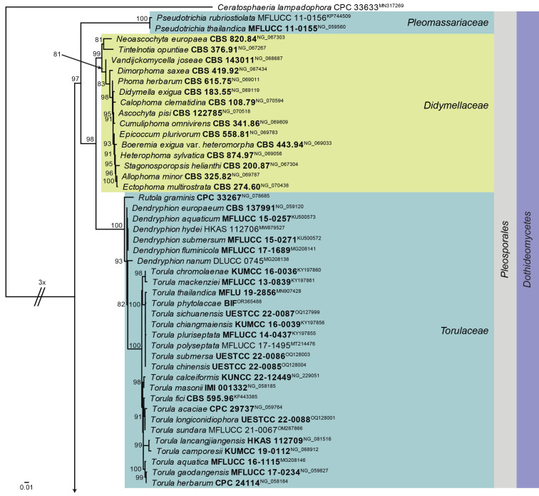 Fig. 36