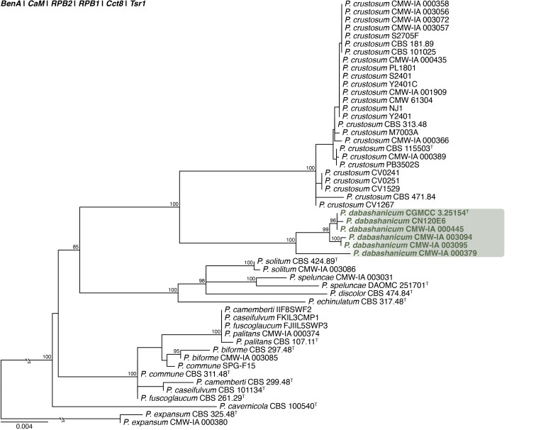 Fig. 30