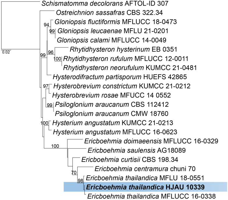 Fig. 12