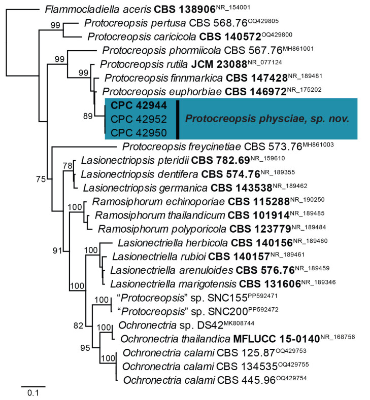 Fig. 41