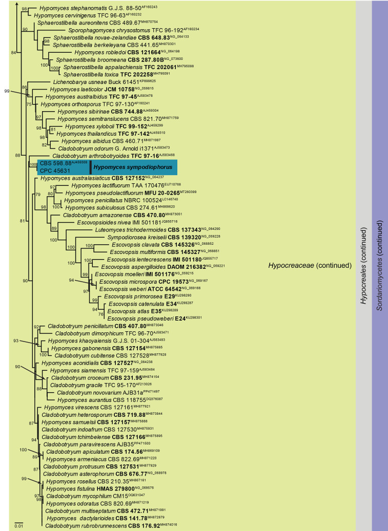 Fig. 21