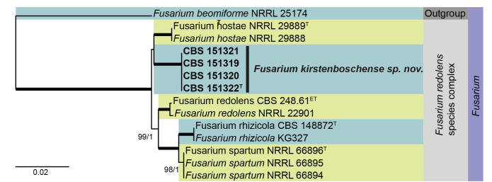 Fig. 14