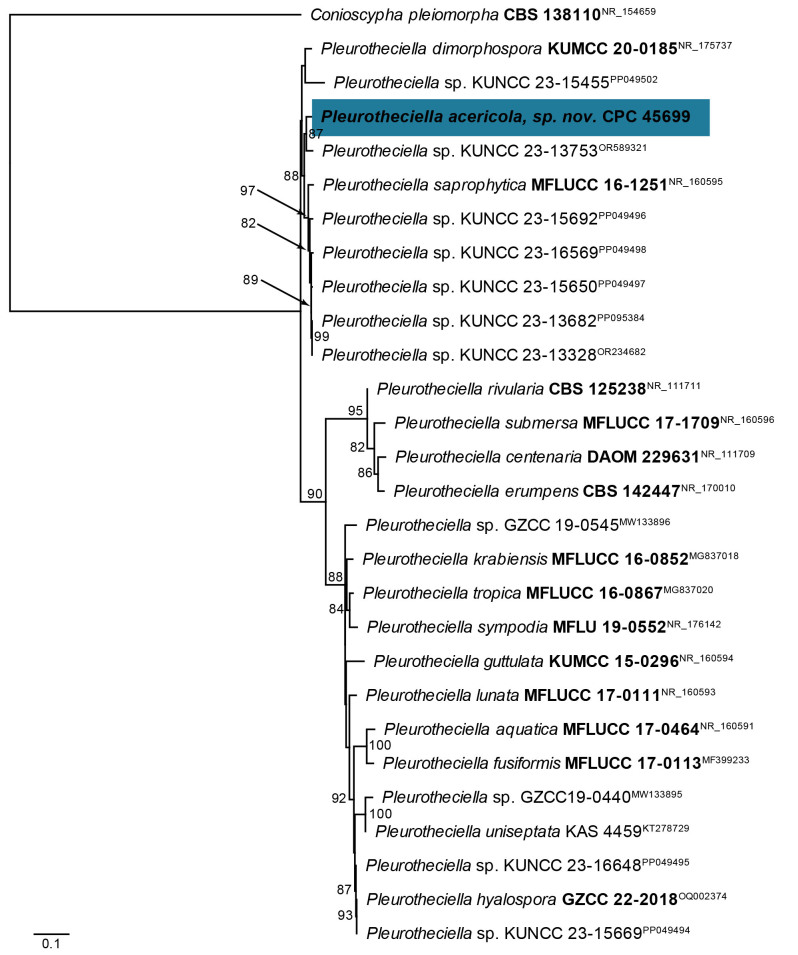 Fig. 39