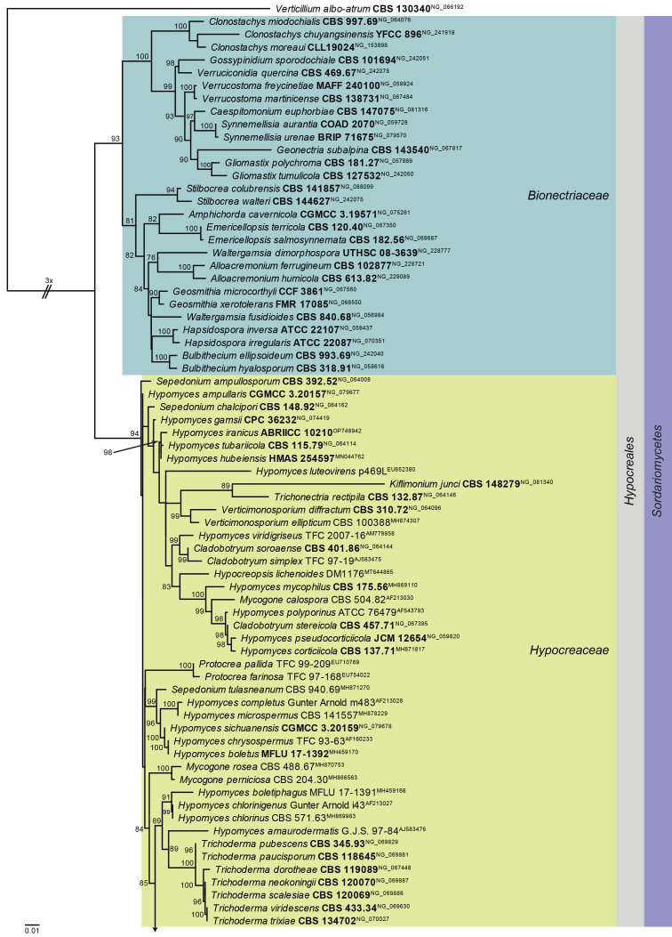 Fig. 20