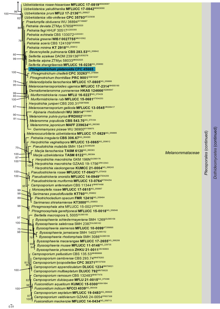 Fig. 37