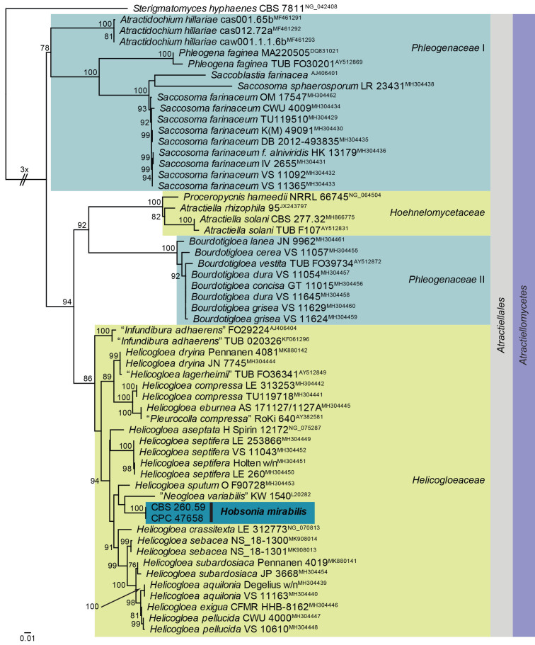 Fig. 18