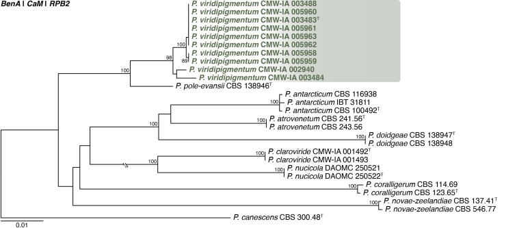 Fig. 34