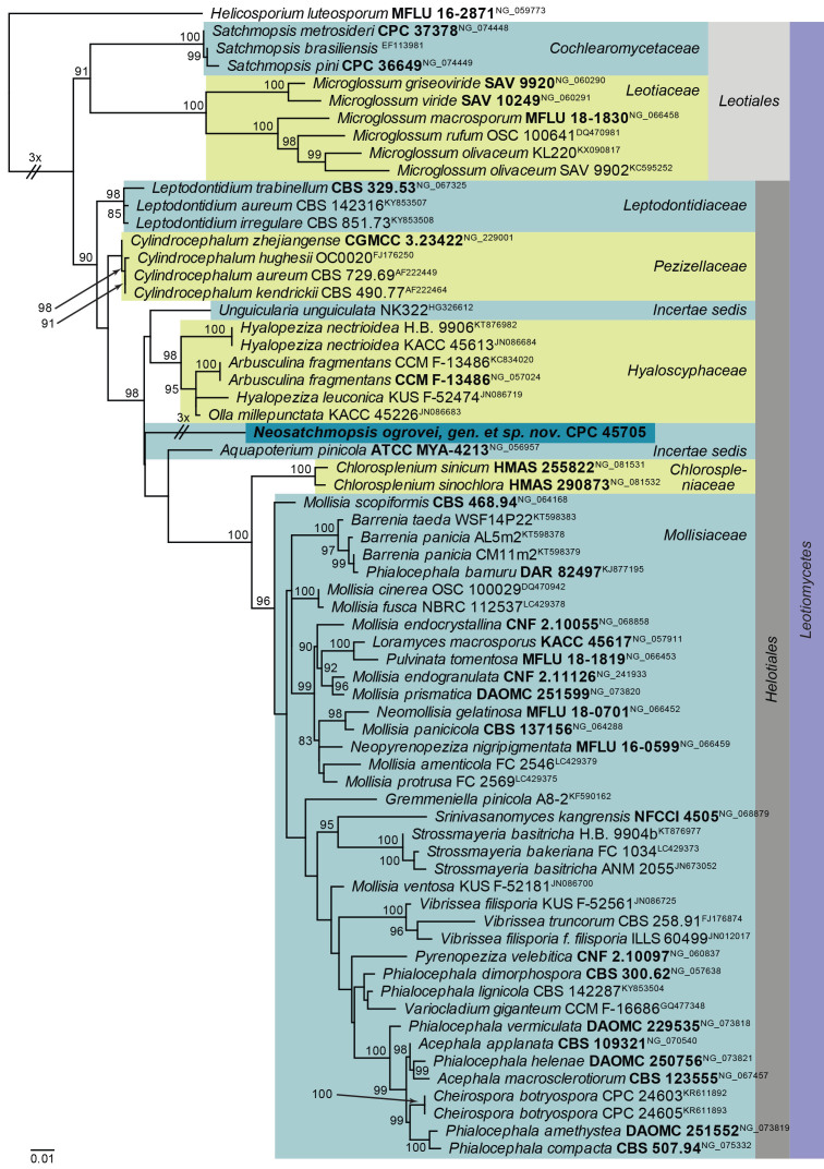 Fig. 26