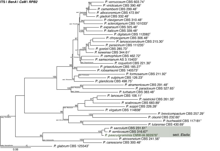 Fig. 32