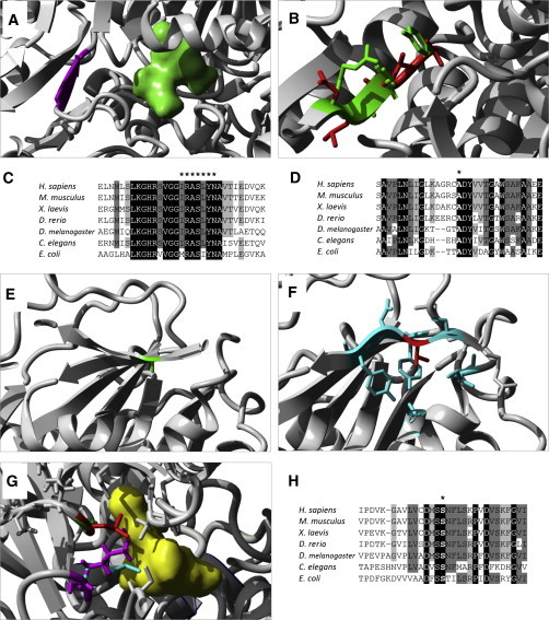 Figure 4