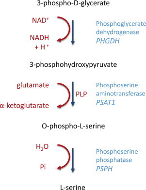 Figure 3