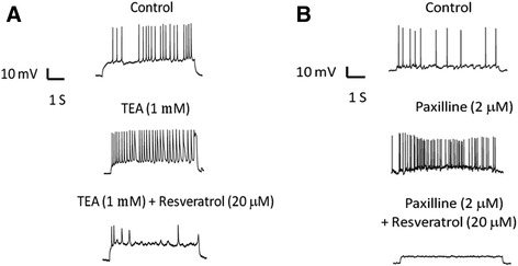 Fig. 5