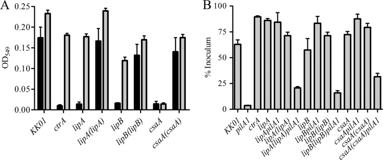 FIG 3