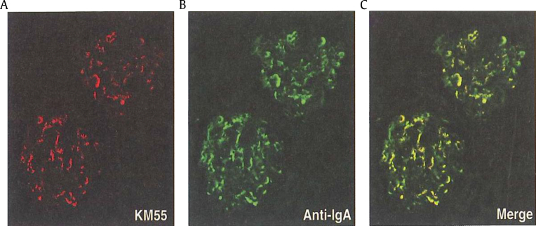 Figure 5