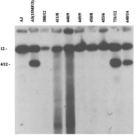 FIG. 8.