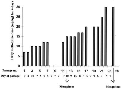 FIG. 2.