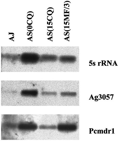 FIG. 6.