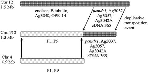 FIG. 5.