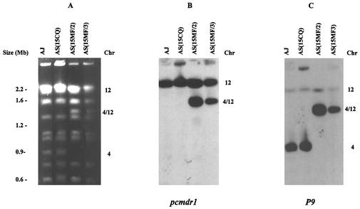 FIG. 3.