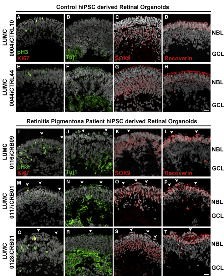 Figure 4