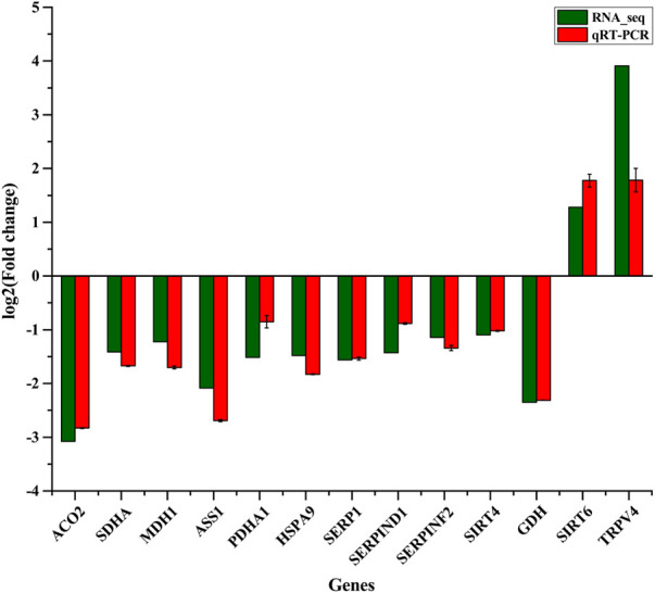 FIGURE 2