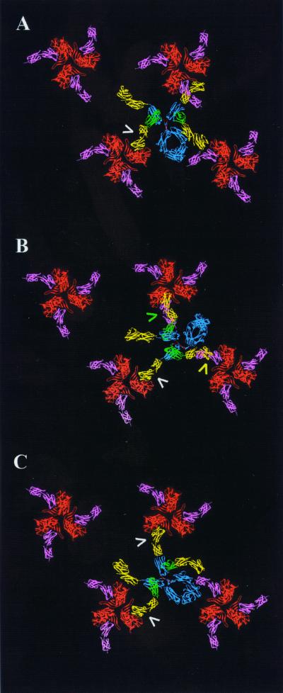 FIG. 3