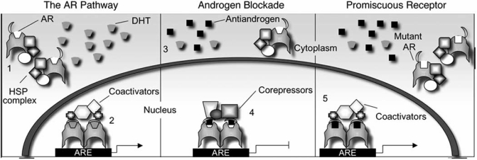 Fig. (1)