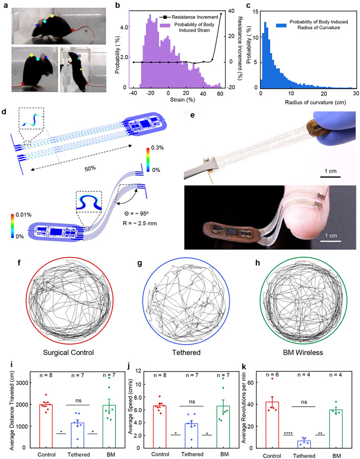 Figure 2: