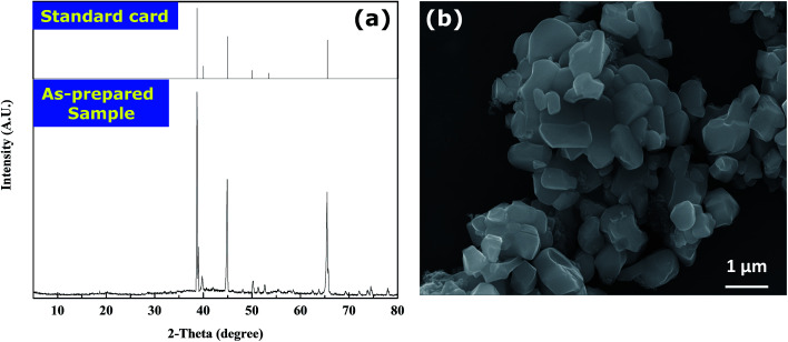 Fig. 8