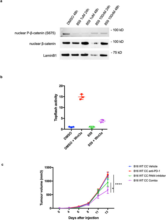 Figure 6: