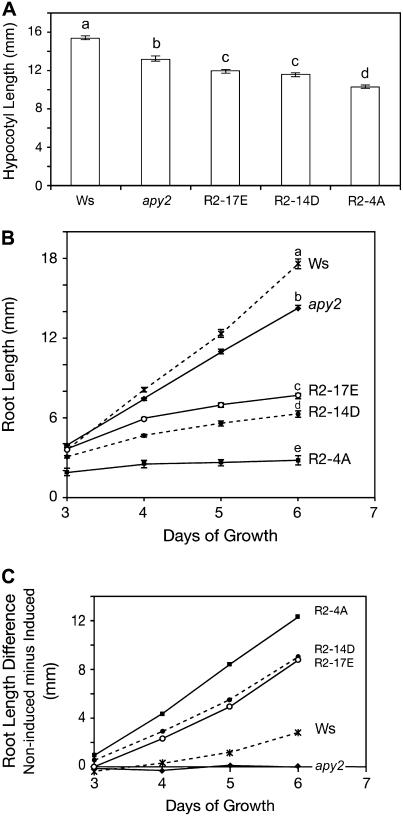 Figure 6.