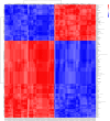 Fig. 12