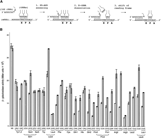 FIGURE 4.