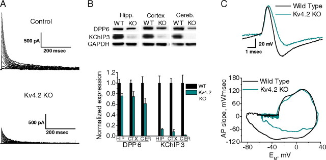 Figure 11.