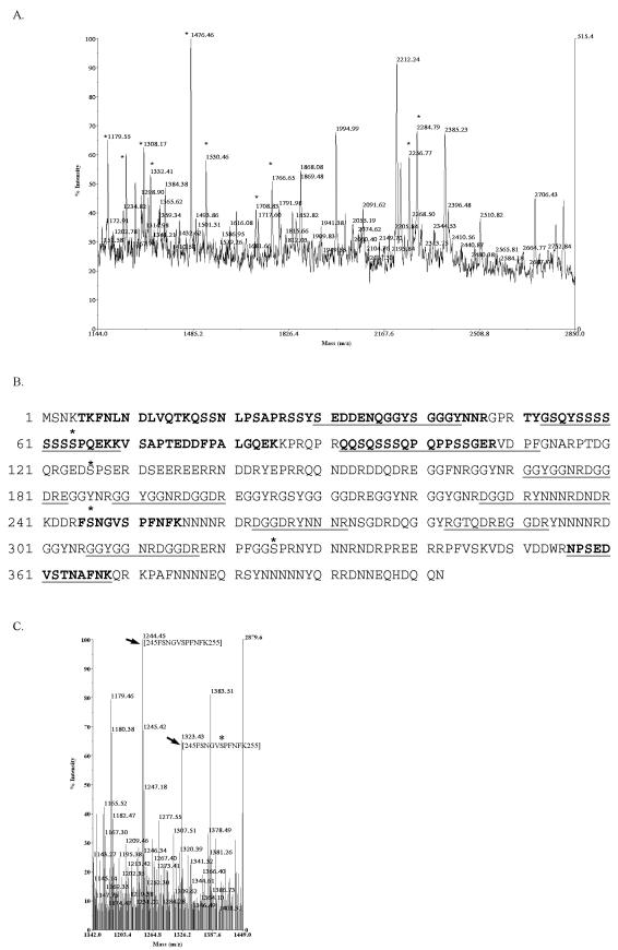 FIG.2.