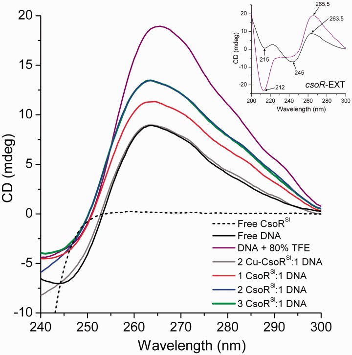 Figure 5.