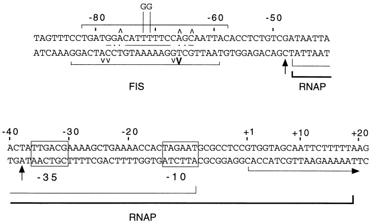 FIG. 1