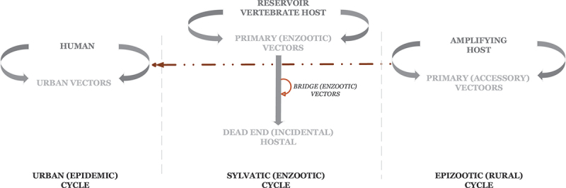 Figure 1.