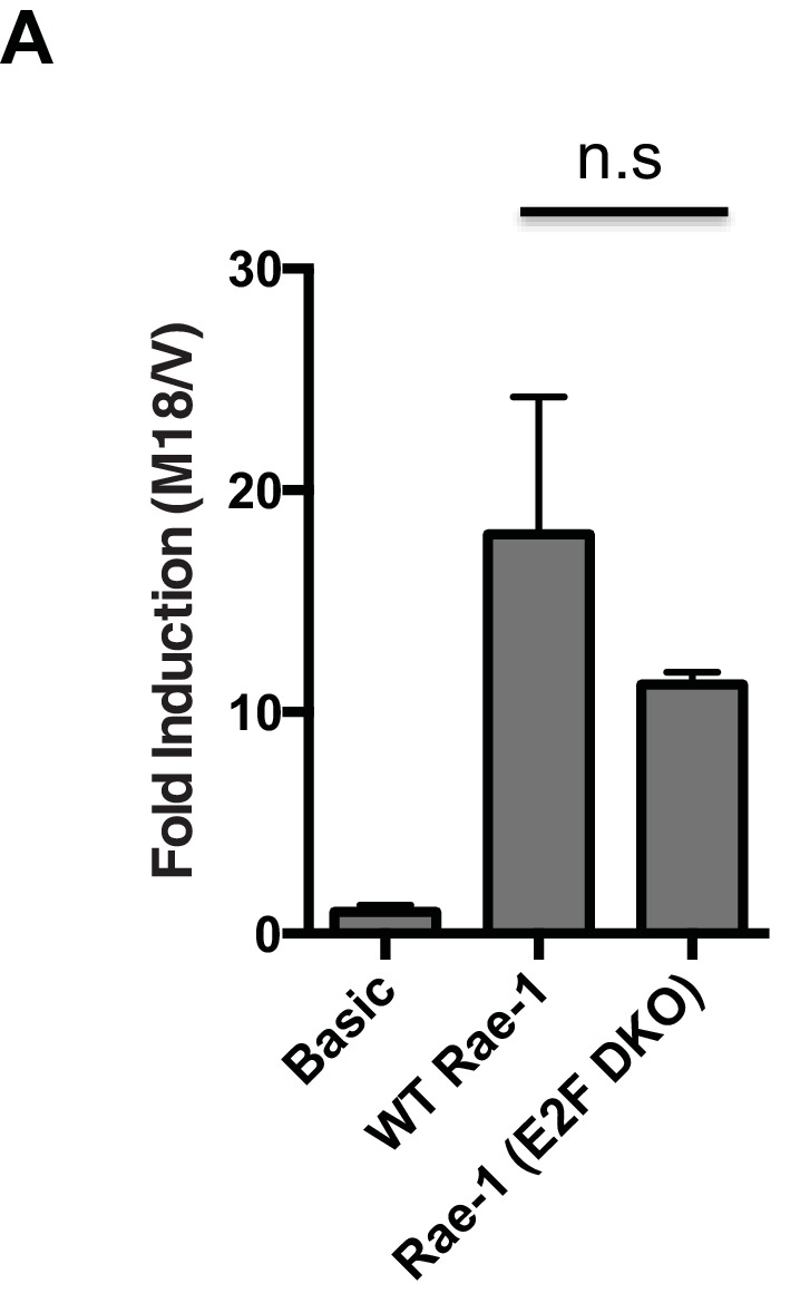 Figure 3—figure supplement 1.