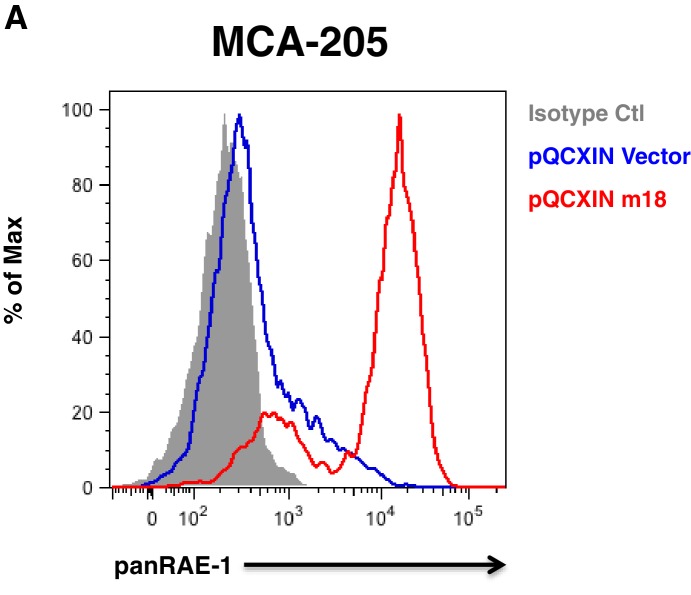 Figure 3—figure supplement 2.