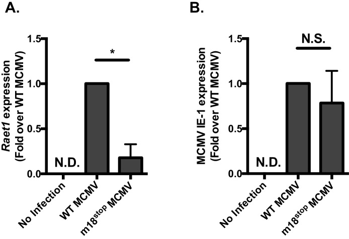 Figure 7—figure supplement 1.